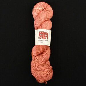 Neighborhood Fiber Co. Studio Sock Yarn 100% Superwash Merino Penrose